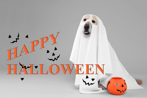 Happy Halloween from Freedom Financial Services, Inc.